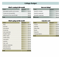 College Student Budget