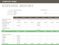 Weekly Expense Report